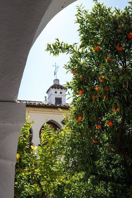 Colegio de Infantes. Guadalupe