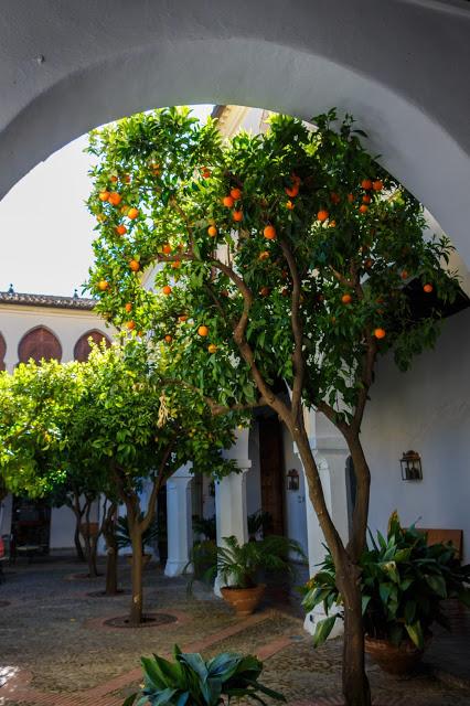 Colegio de Infantes. Guadalupe