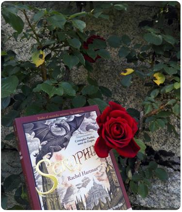 Dragones y rosas | ¡Feliz Sant Jordi! ¡Feliz día del libro!