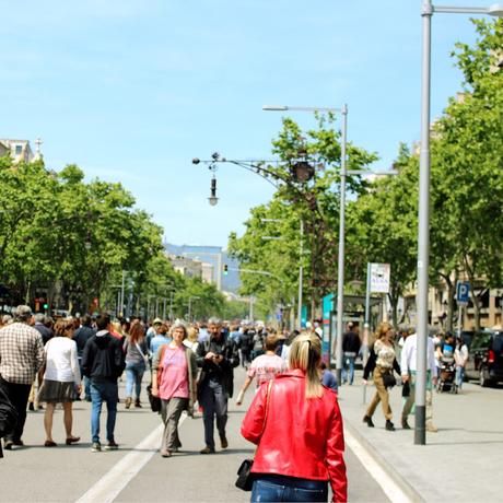 Sant Jordi 2017