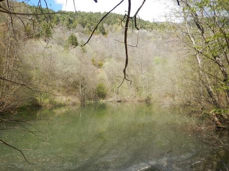 De Ribes de Freser a la Bassa del Manyo