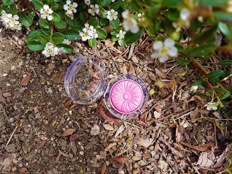 Cheek Pop de Clinique y Enamórate, aunque con una pega Cheek Pop de Clinique y Enamórate, aunque con una pega