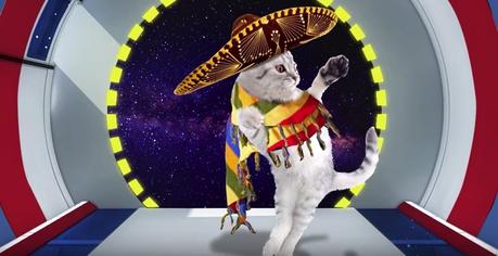 ¿Es este el vídeo con más gatitos de todo Internet?