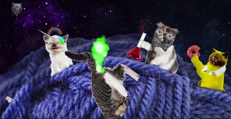 ¿Es este el vídeo con más gatitos de todo Internet?