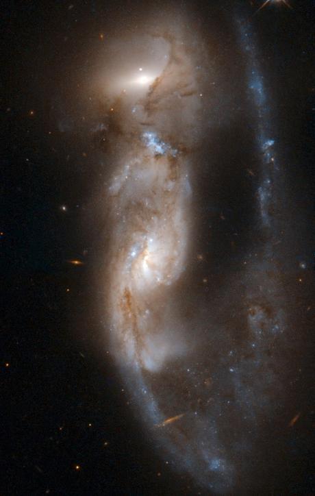✨NGC 6621 dos galaxias en interacción