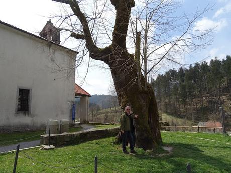 ESLOVENIA: EL CASTILLO DE PREDJAMA