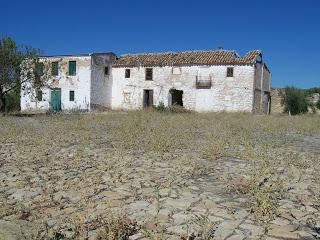 La mala hierba (Agustín Martínez) La mala hierba (Agustín Martínez)
