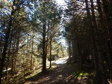 De Toses a Planoles por la Serra del Montgrony