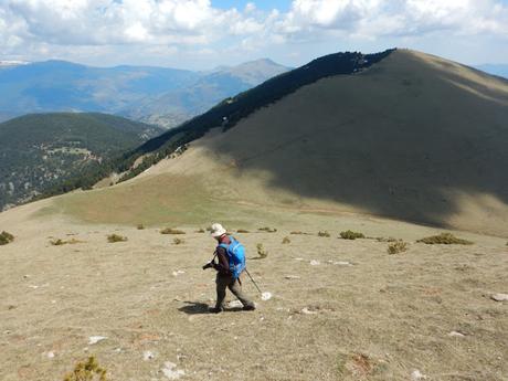 De Toses a Planoles por la Serra del Montgrony