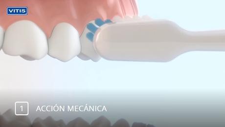 Mejorando mi Salud Bucodental con el Nuevo Cepillo Eléctrico de Tecnología Sónica Vitis Sonic Mejorando mi Salud Bucodental con el Nuevo Cepillo Eléctrico de Tecnología Sónica Vitis Sonic