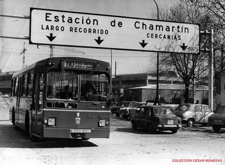 La carótida obstruida