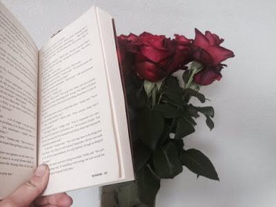 Sant Jordi y el Día del Libro