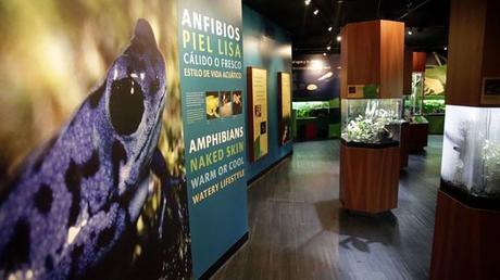 Descubre Estas 10 Atracciones Turísticas Que Debes Conocer En La Ciudad de Panamá Descubre Estas 10 Atracciones Turísticas Que Debes Conocer En La Ciudad de Panamá