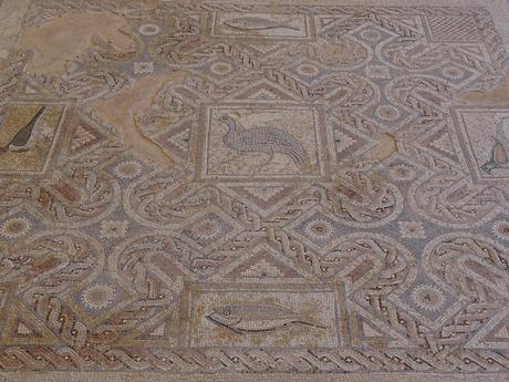 CHIPRE: EL YACIMIENTO ARQUEOLÓGICO DE KOURION CHIPRE: EL YACIMIENTO ARQUEOLÓGICO DE KOURION