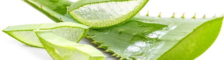 Aloe vera, remedio eficaz contra las quemaduras