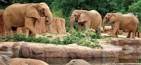 Conoce Estas 10 Atracciones Turísticas De Carolina Del Sur. Desde Playas Hasta Las Hermosas Plantaciones, Hay Algo Para Todos! Conoce Estas 10 Atracciones Turísticas De Carolina Del Sur. Desde Playas Hasta Las Hermosas Plantaciones, Hay Algo Para Todos!