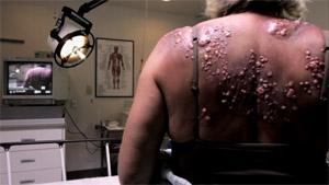 The bay (Barry Levinson, 2012. EEUU) The bay (Barry Levinson, 2012. EEUU)