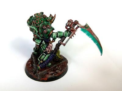Typhus Typhus
