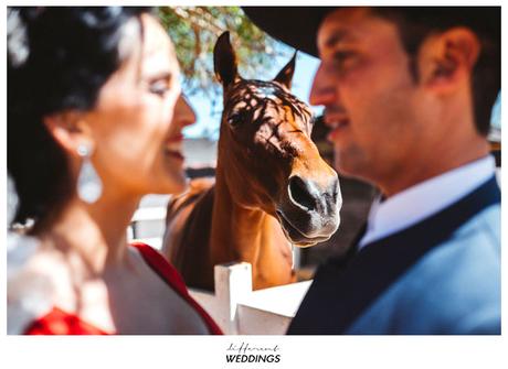 Juan + Perla Juan + Perla