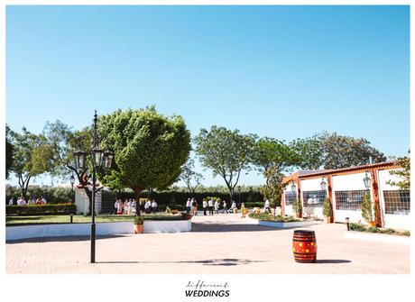 Juan + Perla Juan + Perla