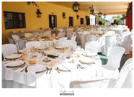 Juan + Perla Juan + Perla