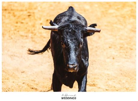 Juan + Perla Juan + Perla