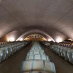 Sala de barricas de la visita a Bodega Otazu