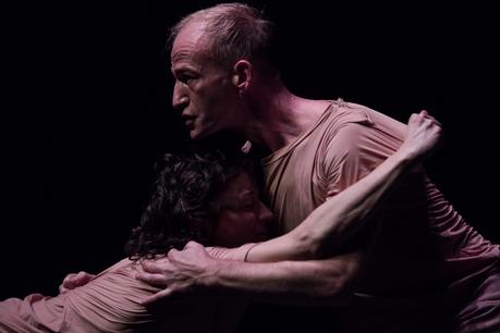 La respiración como vehículo de la consciencia La respiración como vehículo de la consciencia