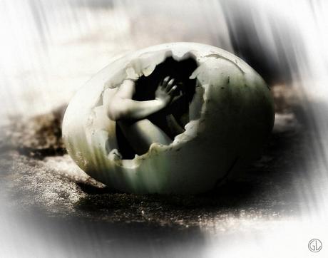 Instrucciones para nacer de nuevo Instrucciones para nacer de nuevo