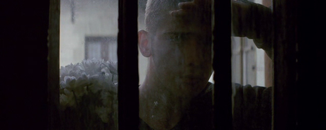 Szelíd teremtés: A Frankenstein-terv - 2010 Szelíd teremtés: A Frankenstein-terv - 2010