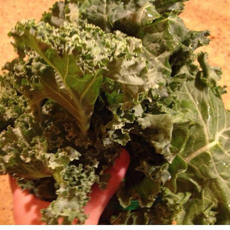 Kale chips (snack saludable de col rizada) Kale chips (snack saludable de col rizada)