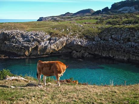 De Buelna a Pimiango (Senda costera por Cobijeru , El Pindal y Monasterio de Tina)