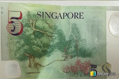 dolar 5 singapur