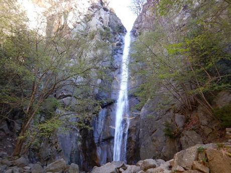 Queralbs - Gorges del Freser - Les Collades - Les Pedrisses - Núria