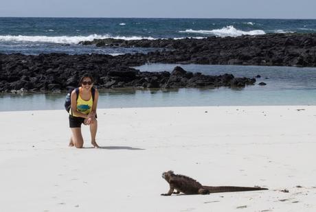 Iguanas nadadoras y pinzones curiosos