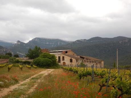 Estación de Pradell - Mola de Colldejou - Estación Marçà-Falset