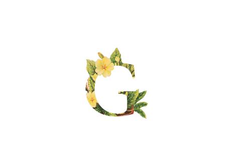 Tipografías de uso libre Tipografías de uso libre