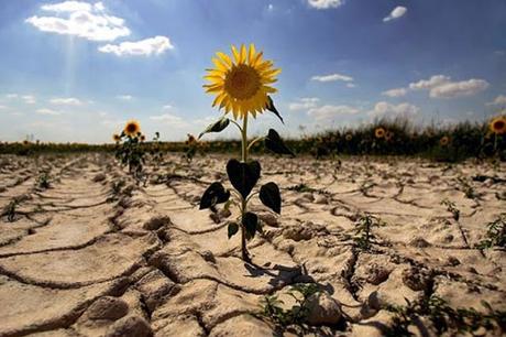 Cambio climático presenta síntomas cada vez más alarmantes Cambio climático presenta síntomas cada vez más alarmantes