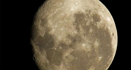 Así es el poderoso zoom de la Nikon coolpix P900 Así es el poderoso zoom de la Nikon coolpix P900