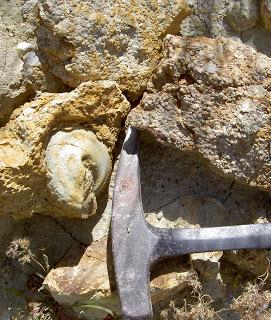 Prospección de arcillas eocenas: la cantera de los Morteros en Aspe.