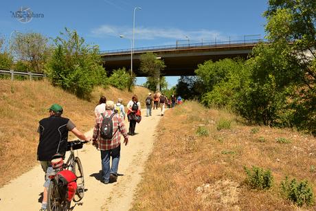 Desde las presillas hasta llegar a campamento, los nudos de carreteras y las vías son nuestros acompañantes inseparables. Fotografía_Abuelohara-MarchaVerde