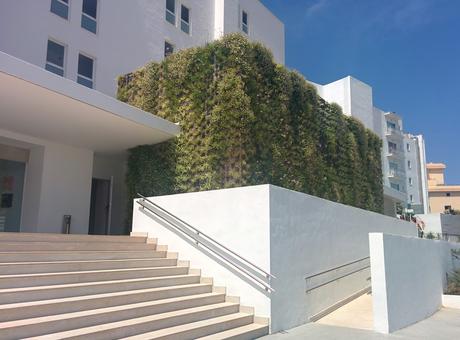 Jardín vertical en Palma de Mallorca