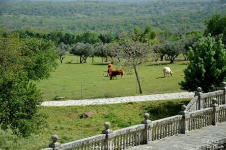 Paseando por los Jardines de Aranjuez y el Monasterio de San Lorenzo de El Escorial