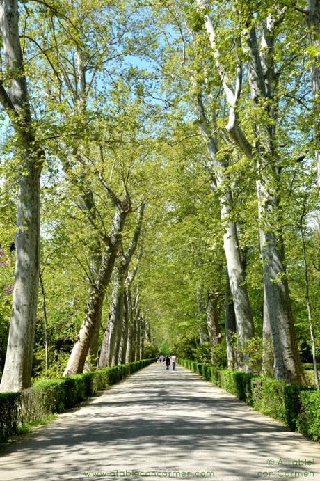 Paseando por los Jardines de Aranjuez y el Monasterio de San Lorenzo de El Escorial