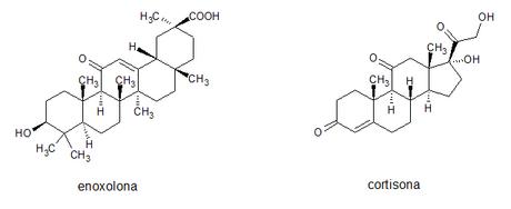 comparativa estructuras enoxolona y cortisona comparativa estructuras enoxolona y cortisona