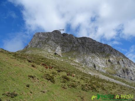 Vista del Carriá desde Vallesotu