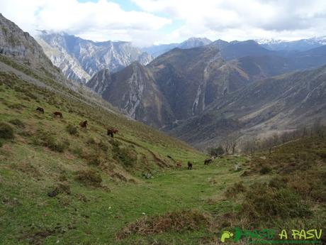 Ruta al Carriá: Descenso por zona alta de Vallesotu