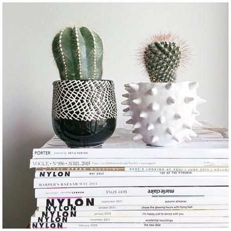 Deco: Obsesión por los mini cactus Deco: Obsesión por los mini cactus