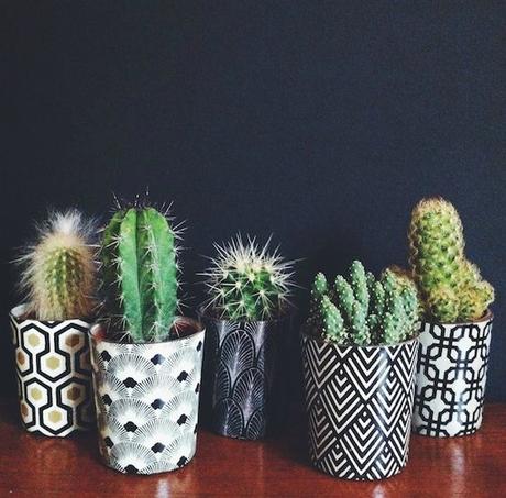 Deco: Obsesión por los mini cactus Deco: Obsesión por los mini cactus