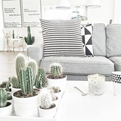 Deco: Obsesión por los mini cactus Deco: Obsesión por los mini cactus